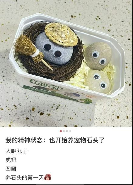拚盘)中国掀起“石头宠物”潮 精神科医:反映年轻人情感现况