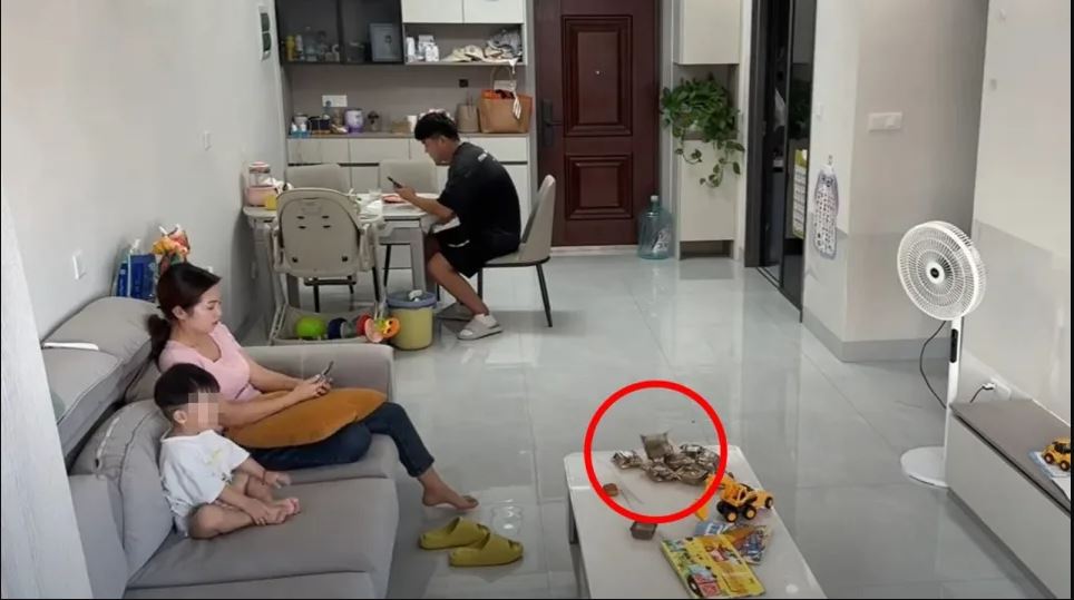 拚盘已签)月饼也“自爆”吓呆一家三口