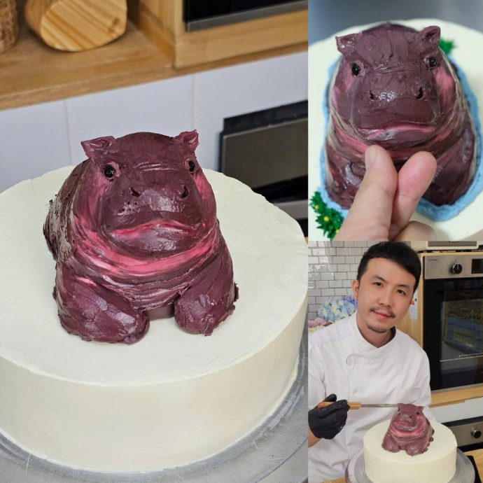 拼盘∕泰萌小河马“弹跳猪”爆红 网笑:就是一块“愤怒的爌肉”