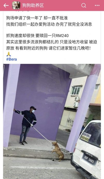 曾毓林/为狗妈妈请命