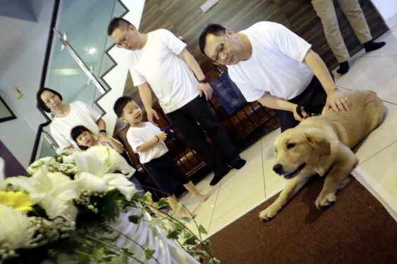 曾毓林/狗狗也知人性