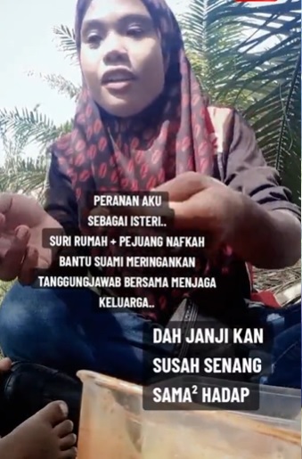 每小时捡100KG棕油果赚RM100 少妻随老夫务农:“虽幸苦却满足”