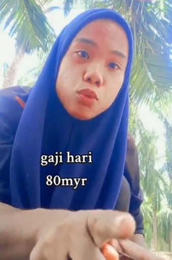 每小时捡100KG棕油果赚RM100 少妻随老夫务农:“虽幸苦却满足”