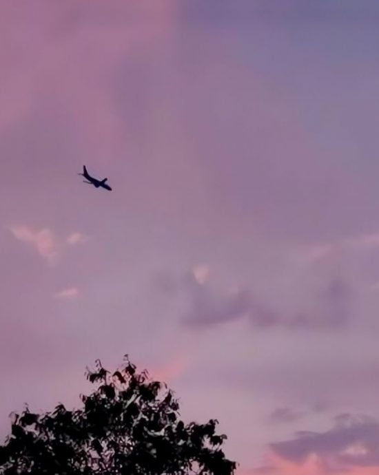 陈乔恩婚礼同框乔任梁 粉丝见插画感动鼻酸