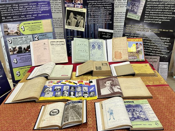 陈亚才／国际印裔节观展有感