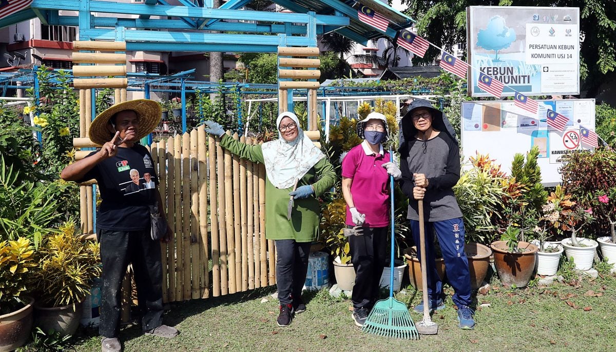 预编4/9见报/绿意盎然/大都会/USJ14区社区菜园