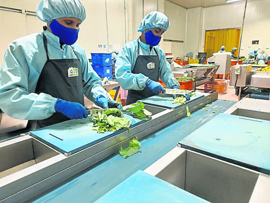 (16/9见报)企业故事|张礼庆夫妻联手创办 农价控股冀扩大批发版图