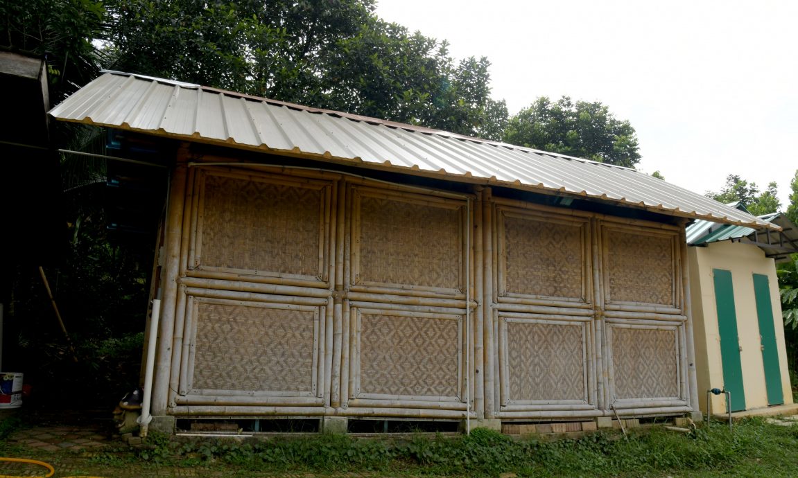 （18/9见报）大都会/绿意盎然-布城第9区KK1社区菜园/多图