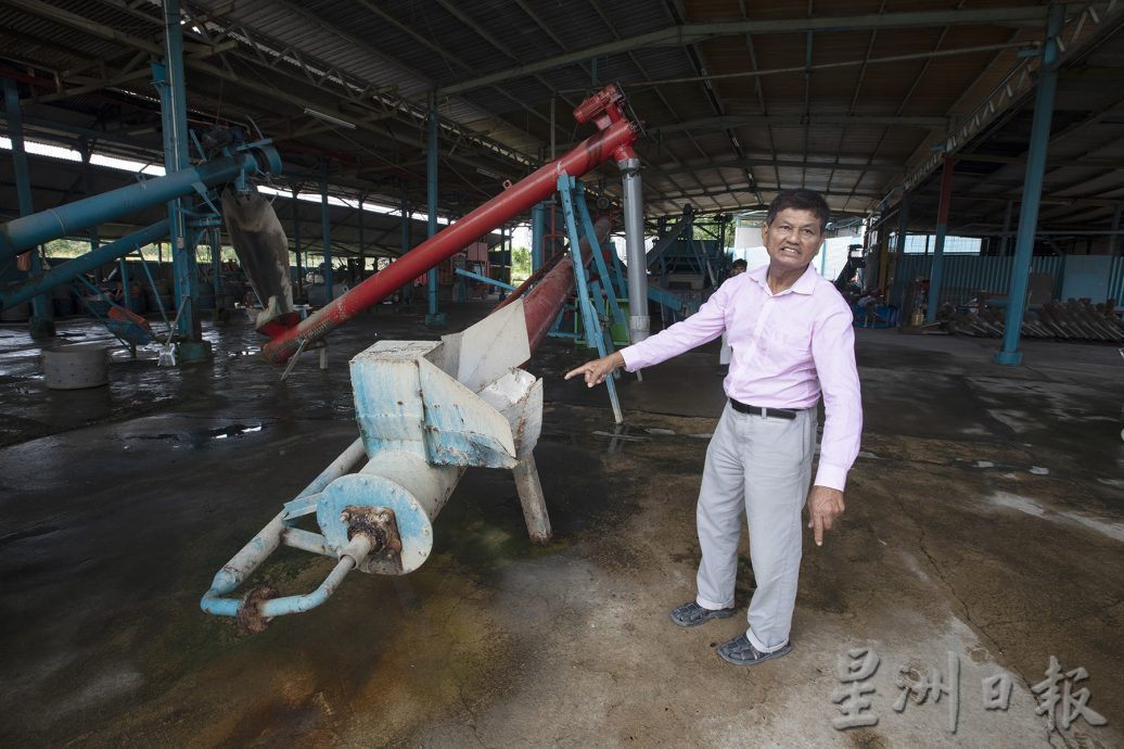 星角摄/图说大马:青蚝之乡日落西山