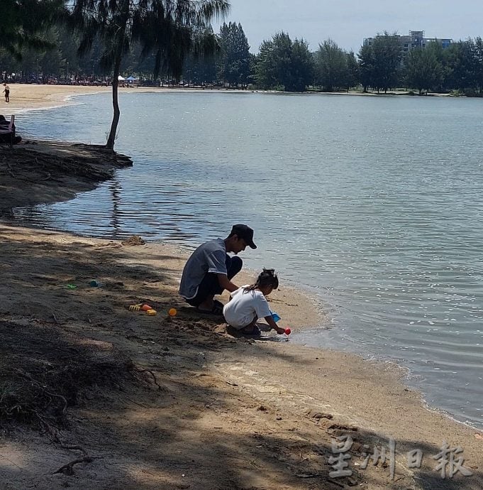 (古城封面副文)吉里望海蚀,树木面临倾倒危机