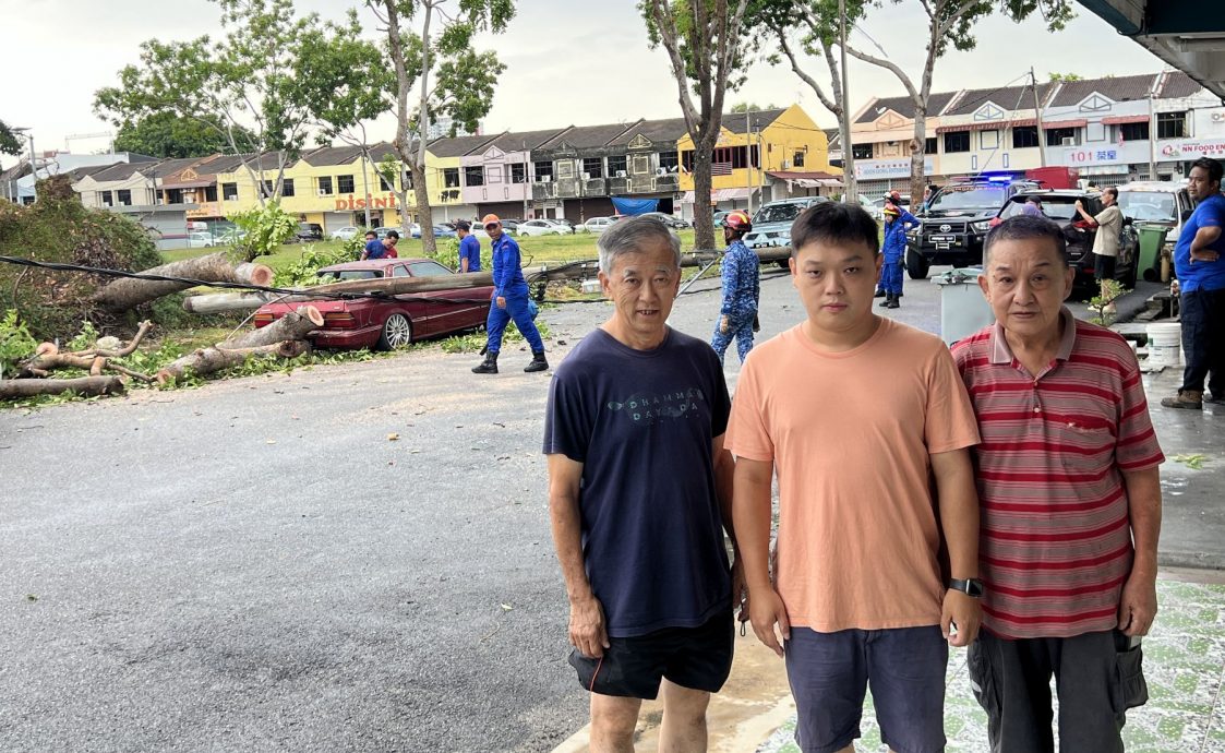 (古城封面副文)强风来袭·大树扯断电灯柱压车