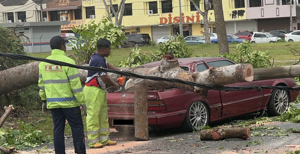(古城封面副文)强风来袭·大树扯断电灯柱压车