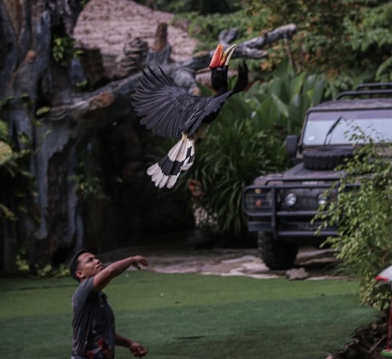 (古城封面副文)逾3000马六甲民众兑换免费门票到马六甲动物园参观