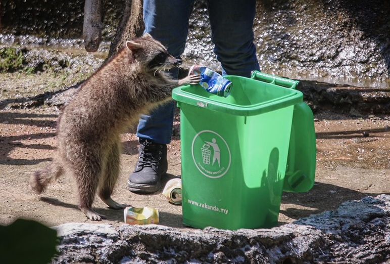 (古城封面副文)逾3000马六甲民众兑换免费门票到马六甲动物园参观