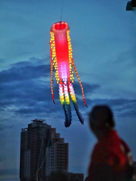 （古城第三版主文）逾百名风筝手聚集吉里望街放风筝