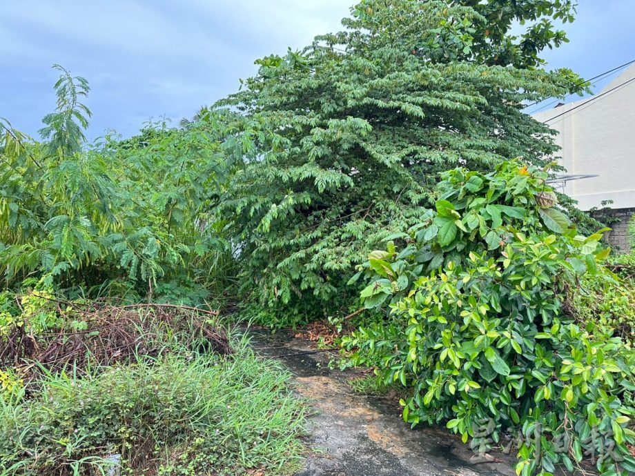 (古城第四版主文)甲平均每年5千人涉毒 林朝雁促妥善管理产业免沦为吸毒地