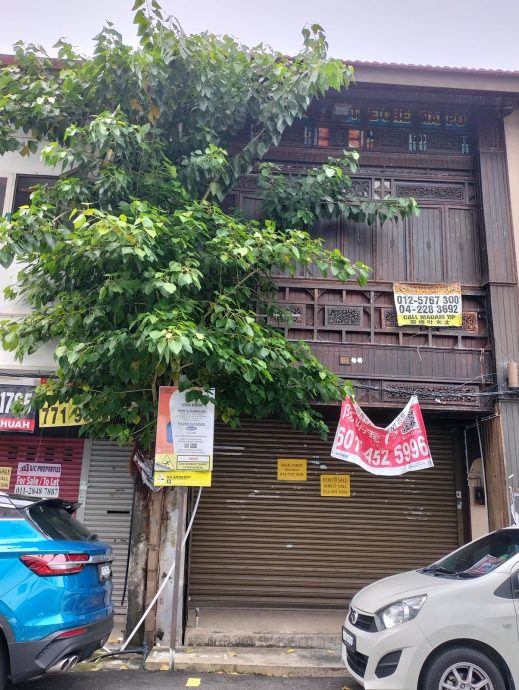 (大北马) 植物攀附建筑藏杀机 槟岛市局勒令砍! //主