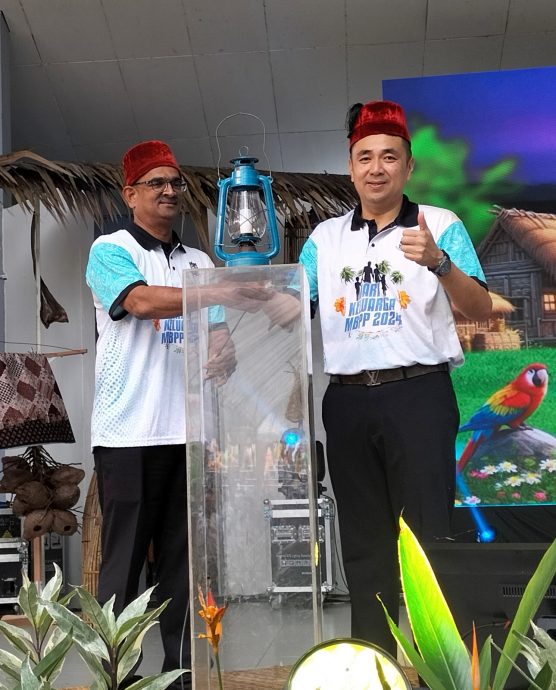 (大北马) 植物攀附建筑藏杀机 槟岛市局勒令砍! //主