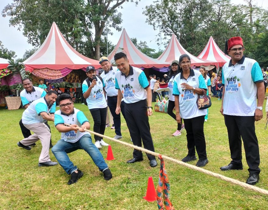 (大北马) 植物攀附建筑藏杀机 槟岛市局勒令砍! //主