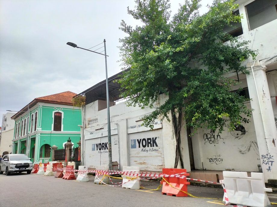 (大北马) 植物攀附建筑藏杀机 槟岛市局勒令砍! //主