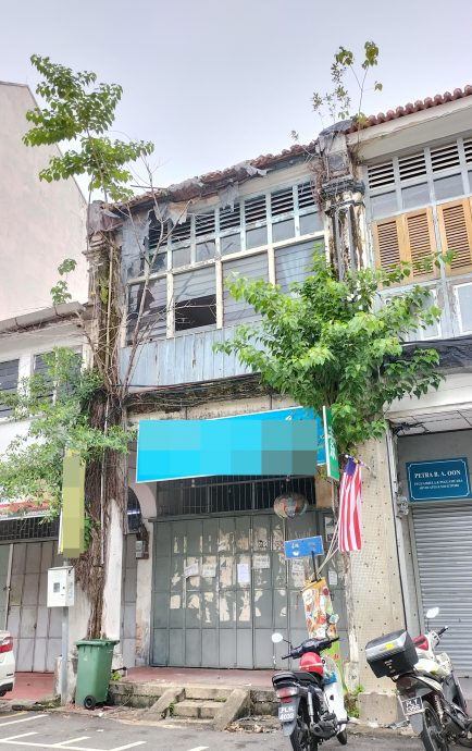 (大北马) 植物攀附建筑藏杀机 槟岛市局勒令砍! //主