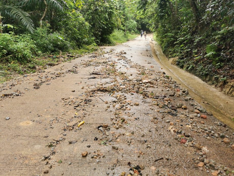 (大北马)槟州森林局关闭两公园