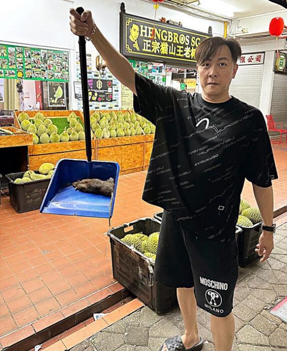 (已签发)柔:狮城二三事:烫死老鼠被轰残忍 店家:无奈之举