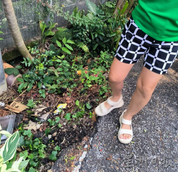 (版3头)大都会/河畔泥土流失严重,住宅区路肩龟裂下沉严重,居民忧发生严重土崩!