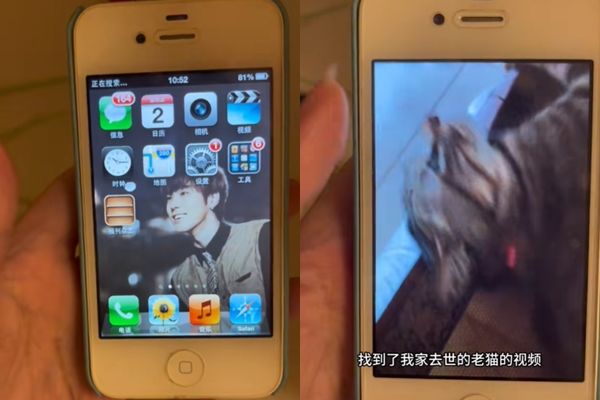 iPhone按错密码被锁10年 女子解锁后重获已逝猫咪视频超感人