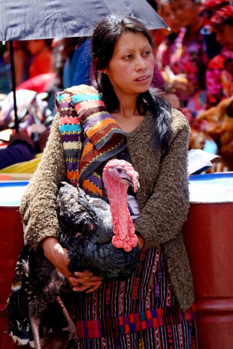 Kim Teoh/走入玛雅的生活