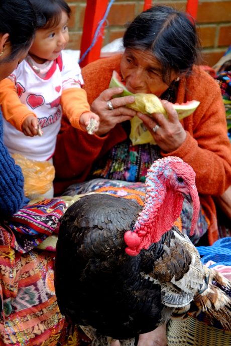 Kim Teoh/走入玛雅的生活