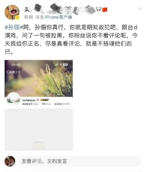 与吴慷仁搭档拍戏被“狙击” 孙俪拉黑网民