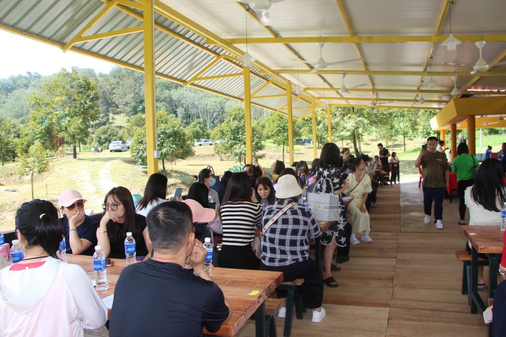 东6:中国国庆长假游客计划赴劳勿,榴梿季节已过园主谢客