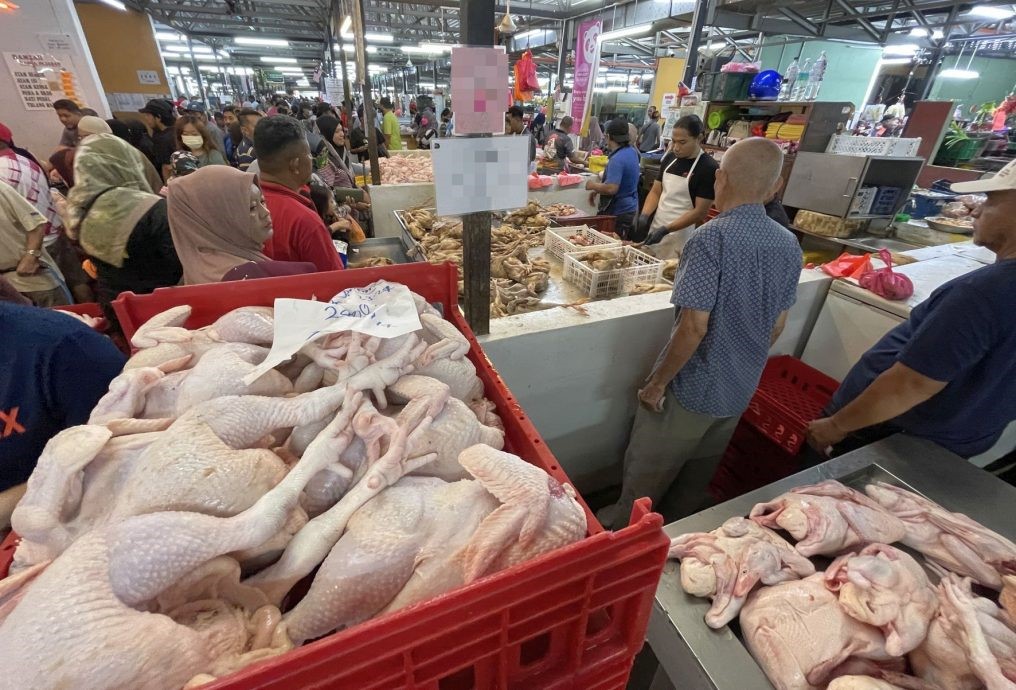 令吉走强鸡肉还是贵?业者:其它成本都很高!