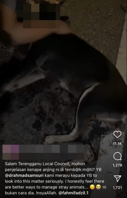 瓜拉登嘉楼市政厅否认社交媒体流传，指其官员射杀流浪狗Kopi的传言。