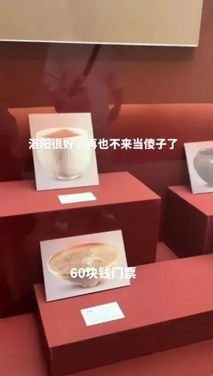 叹花钱去博物馆看照片不值 馆方:文物被借出作研究