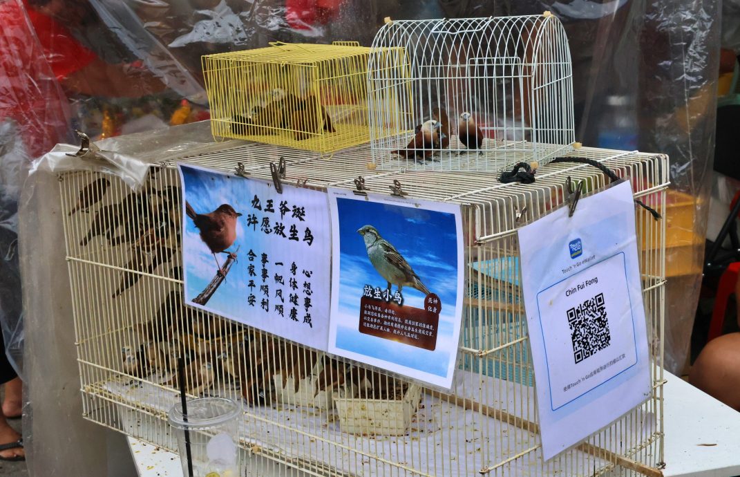 大都会/封面/安邦九皇爷诞汇集亚洲美食 崛起塔罗牌占卜风气 竹筒拔罐传统技术屹立不倒