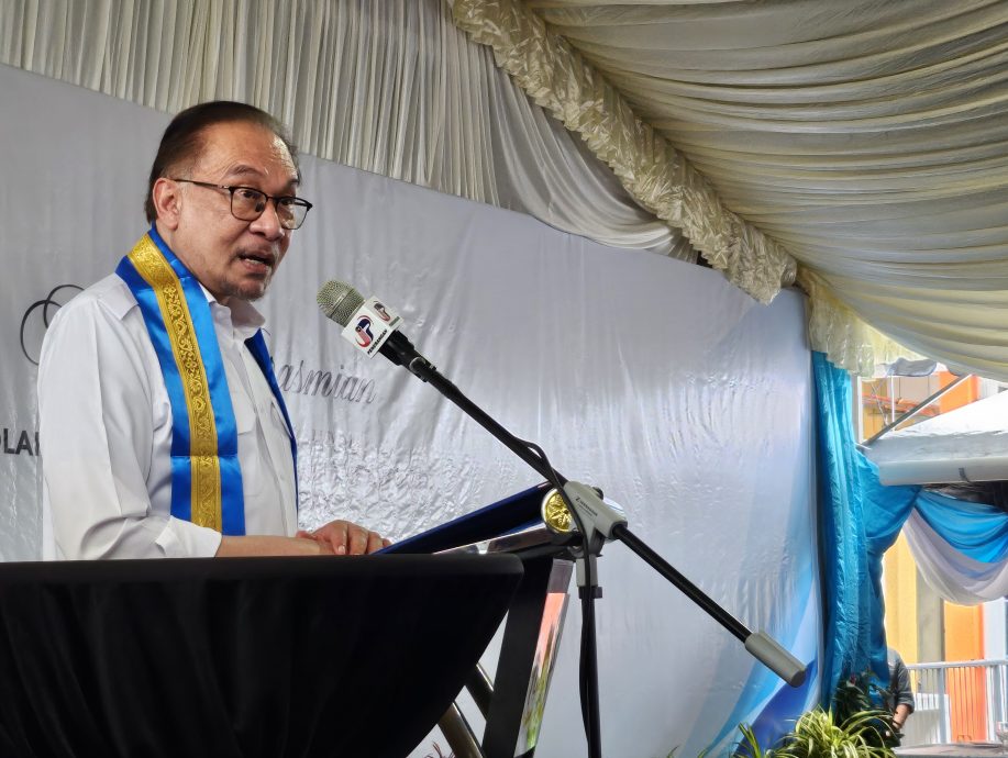 安华:就读国中华印裔 应获机会学习母语