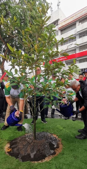 种一棵树,播一颗种子,新山市厅种甘蜜、胡椒及古塔胶留住及传播历史
