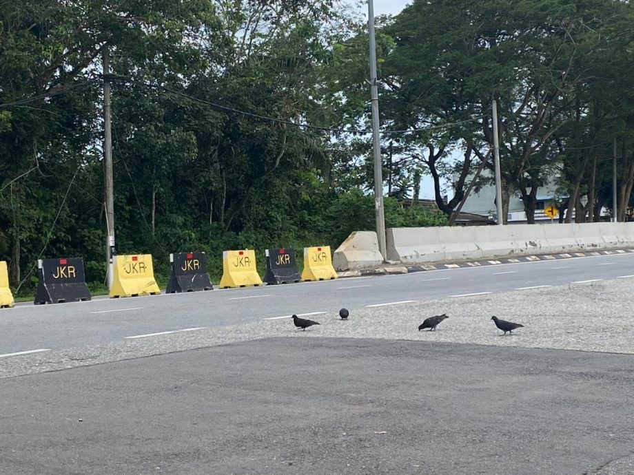 **已签发**柔:新邦令金联邦公路改道计划 赖奂君呼吁居民小心驾驶