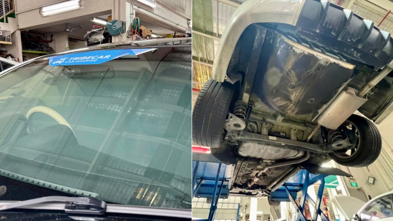 *已签发*柔:狮城二三事:狮城共享汽车出现老鼠 公司:车子无破损