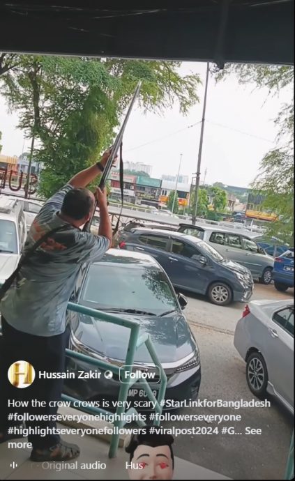 求真?//男子光天化日朝天开枪?警方:是市政厅组织的射鸦行动