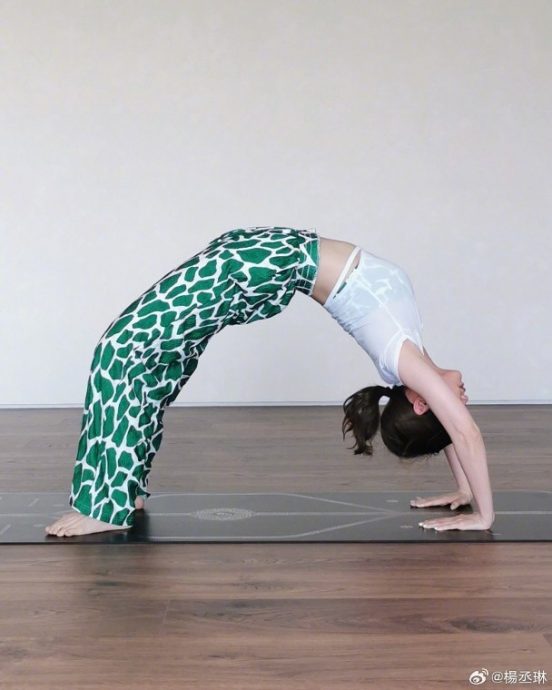 玩倒立拱桥晒柔软度 杨丞琳被酸似屏东黑鲔鱼