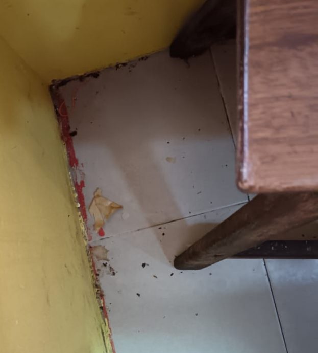 甲2早餐店1薄饼店卫生不达标 被发现有老鼠粪便食材放地上