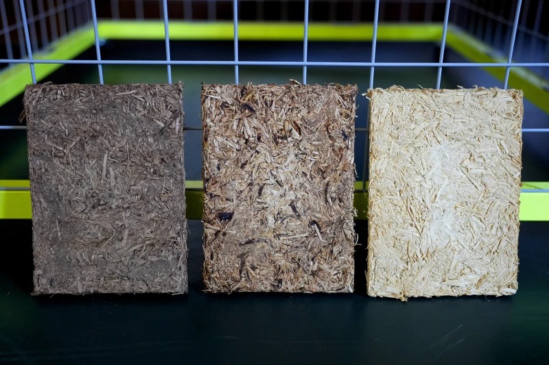 绿量无穷 | 德大学生研发 啤酒花废料变建材 /主