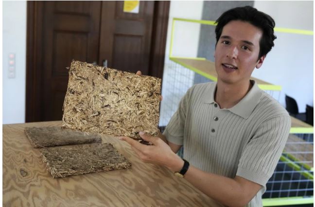 绿量无穷 | 德大学生研发 啤酒花废料变建材 /主