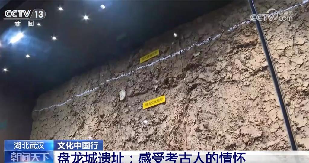 见证3500多年前商朝兴衰!武汉“盘龙城”遗址揭秘