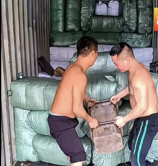 视频|员工暴力处理货运装箱 网:难怪包裹寄到已损坏