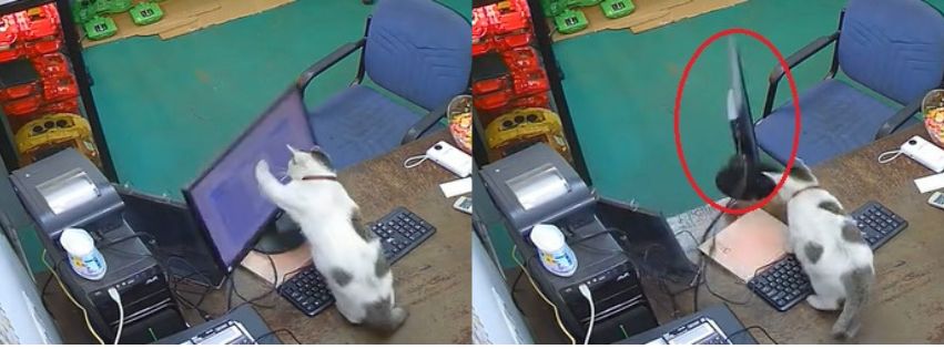 视频|电脑屏幕无端摔地毁了 老板找出“凶手”气炸!