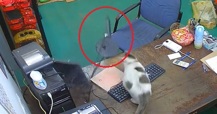 视频|电脑屏幕无端摔地毁了 老板找出“凶手”气炸!